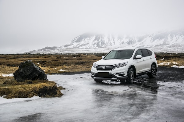 SUVs & Crossovers